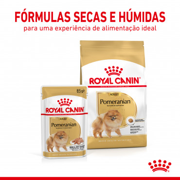 Royal Canin Pomerian Cão adulto