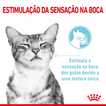 Royal Canin Sensory Feel Gato adulto - Em molho