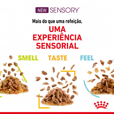 Royal Canin Sensory Feel Gato adulto - Em molho