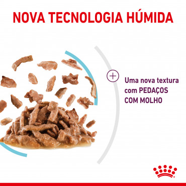 Royal Canin Sensory Feel Gato adulto - Em molho