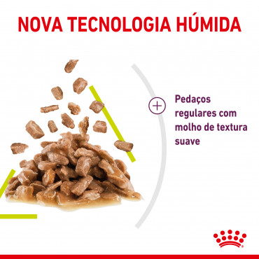 Royal Canin Sensory Smell Gato adulto - Em molho