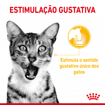 Royal Canin Sensory Taste Gato adulto - Em molho