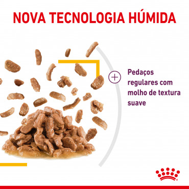 Royal Canin Sensory Taste Gato adulto - Em molho