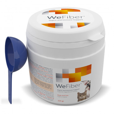 WeFiber - Pó