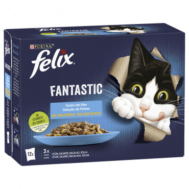 Felix Fantastic - Seleção...