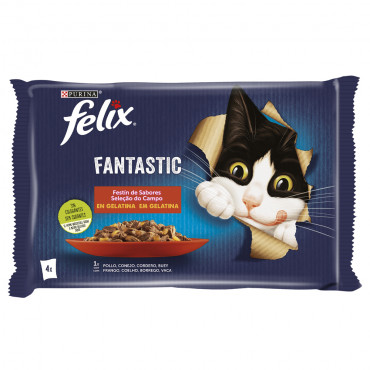 Felix Fantastic - Seleção...