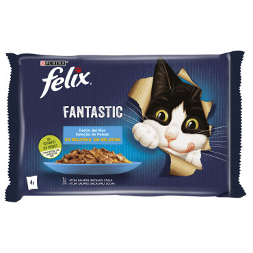 Felix Fantastic - Seleção...