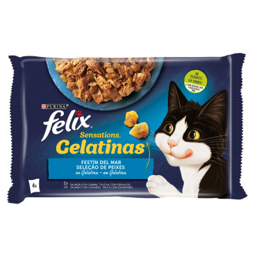 Felix Sensations - Seleção...