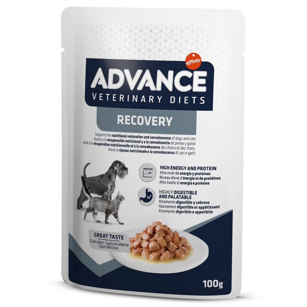 Advance VET Recovery - Alimento húmido para cão e gato adulto para apoiar a  recuperação nutricional