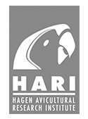 Hari