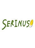 Serinus