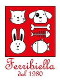 Ferribiella